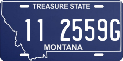 MT license plate 112559G