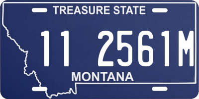 MT license plate 112561M