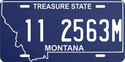 MT license plate 112563M
