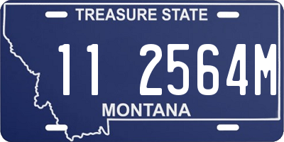 MT license plate 112564M