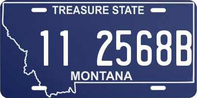 MT license plate 112568B