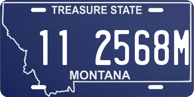 MT license plate 112568M