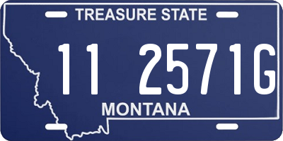 MT license plate 112571G