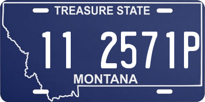 MT license plate 112571P