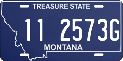 MT license plate 112573G