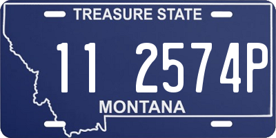 MT license plate 112574P