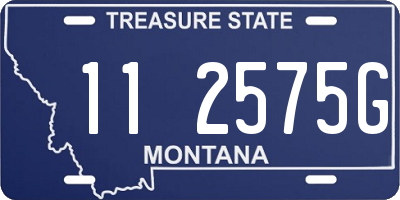 MT license plate 112575G