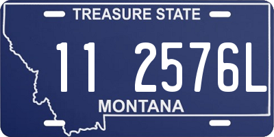 MT license plate 112576L