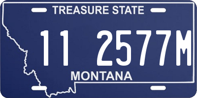 MT license plate 112577M