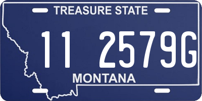 MT license plate 112579G