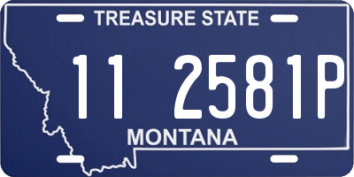 MT license plate 112581P