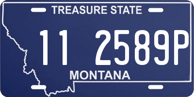 MT license plate 112589P