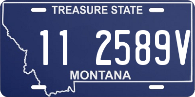 MT license plate 112589V