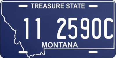 MT license plate 112590C