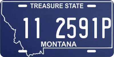 MT license plate 112591P