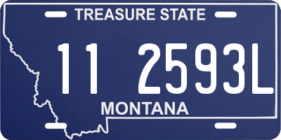 MT license plate 112593L