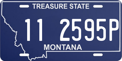 MT license plate 112595P