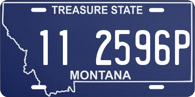 MT license plate 112596P