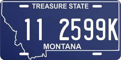 MT license plate 112599K