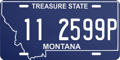 MT license plate 112599P