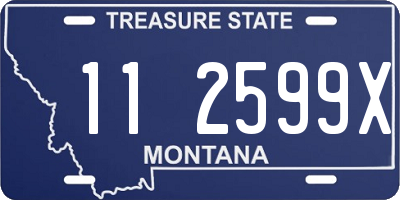 MT license plate 112599X