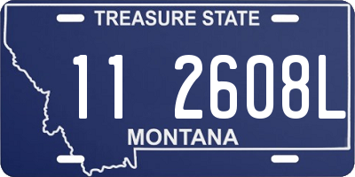 MT license plate 112608L