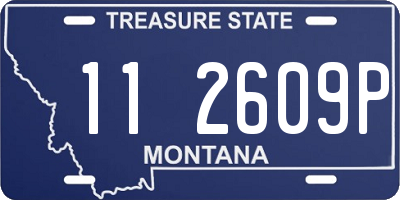 MT license plate 112609P
