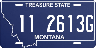 MT license plate 112613G