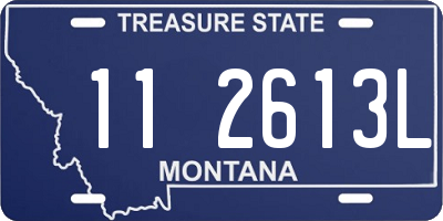 MT license plate 112613L