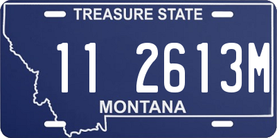 MT license plate 112613M
