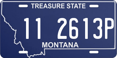 MT license plate 112613P