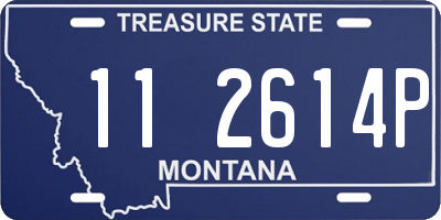 MT license plate 112614P