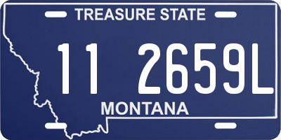 MT license plate 112659L