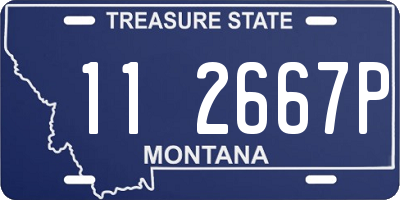 MT license plate 112667P