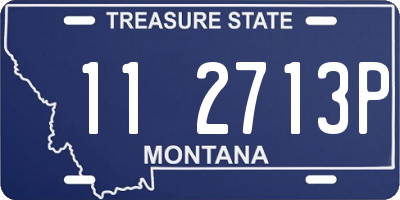 MT license plate 112713P