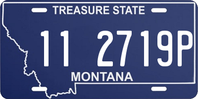 MT license plate 112719P