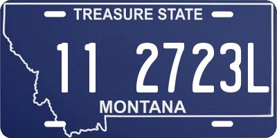 MT license plate 112723L