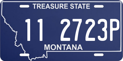 MT license plate 112723P
