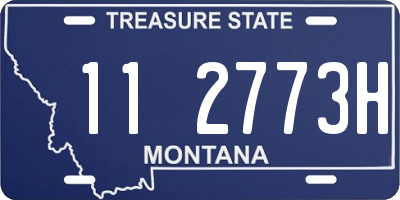 MT license plate 112773H