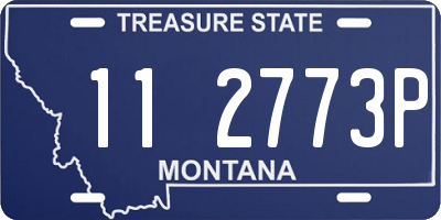 MT license plate 112773P