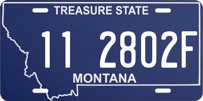 MT license plate 112802F