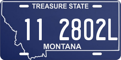 MT license plate 112802L