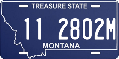 MT license plate 112802M