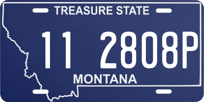 MT license plate 112808P