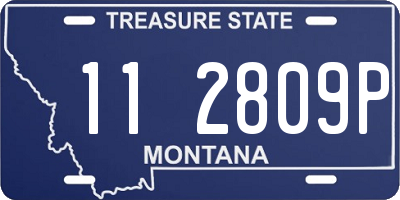 MT license plate 112809P