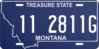 MT license plate 112811G