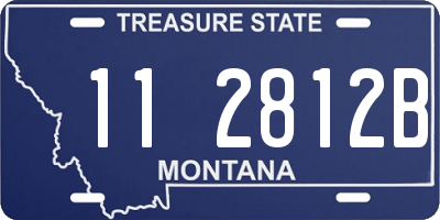 MT license plate 112812B