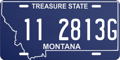 MT license plate 112813G