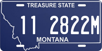 MT license plate 112822M