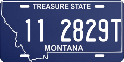 MT license plate 112829T